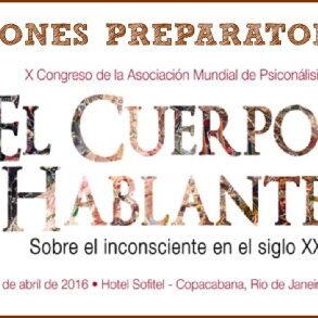 sesionespreparatorias-congresoAMP-Riox293