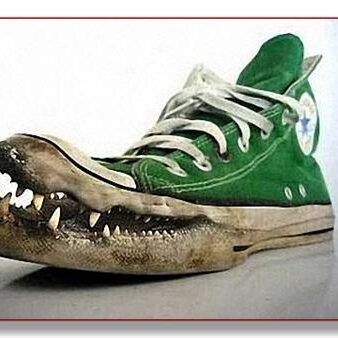 zapatos-antonio-damasio.jpg